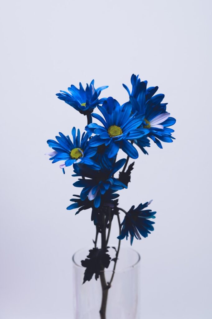 زهور زرقاء وبيضاء على خلفية بيضاء
